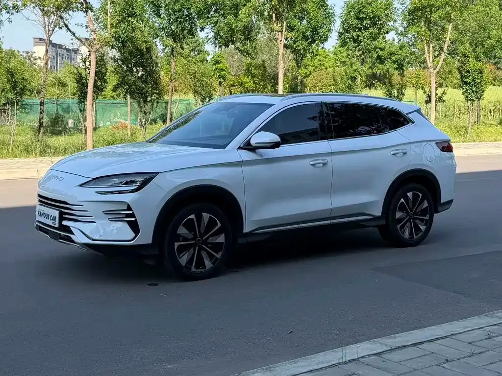BYD PLUS New Energy — фото 1