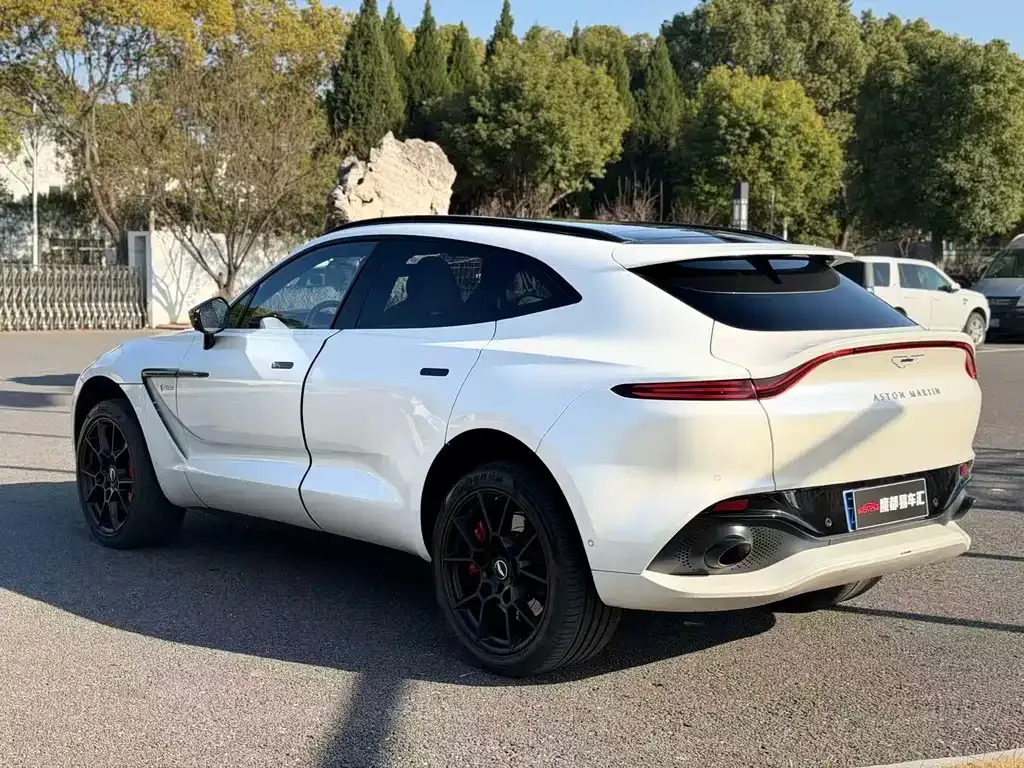 Aston Martin DBX — фото 9