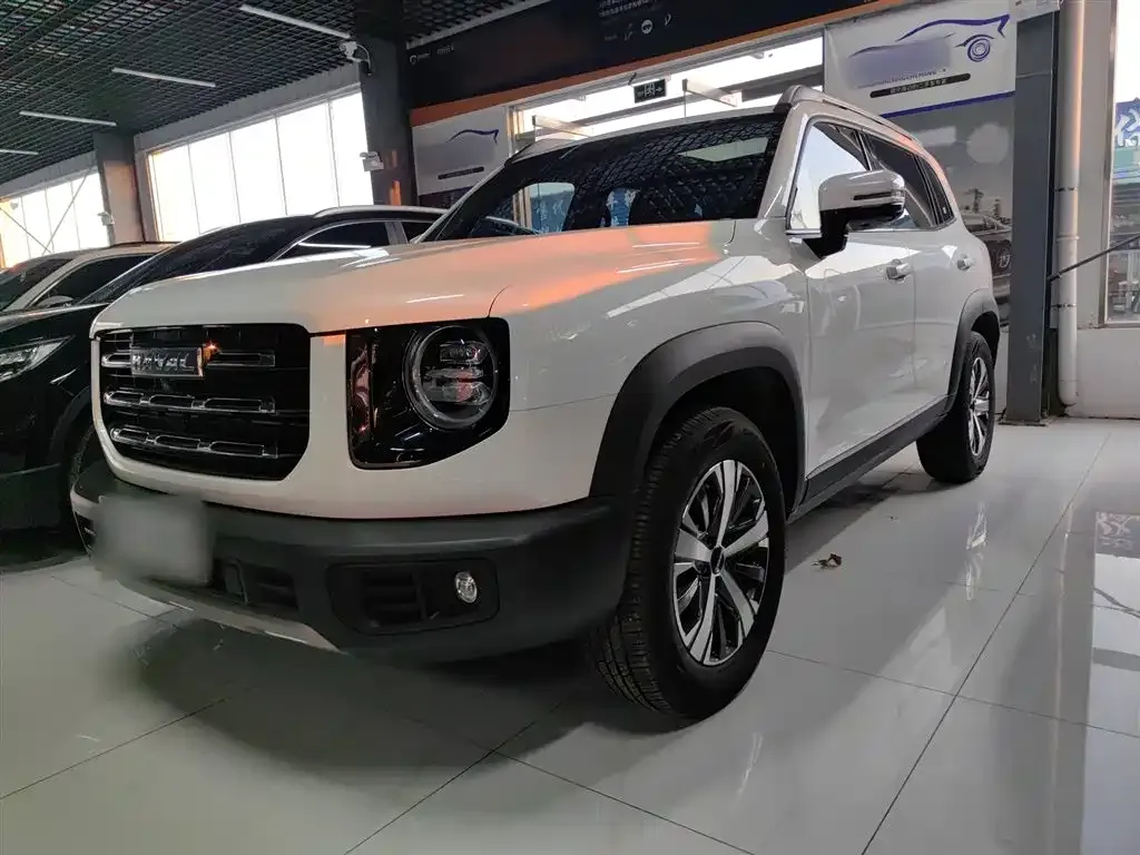 Haval Big Dog — фото 10