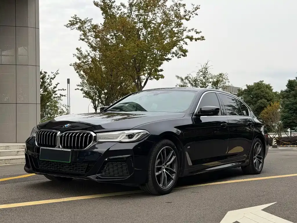 BMW 5 Series New Energy — фото 1
