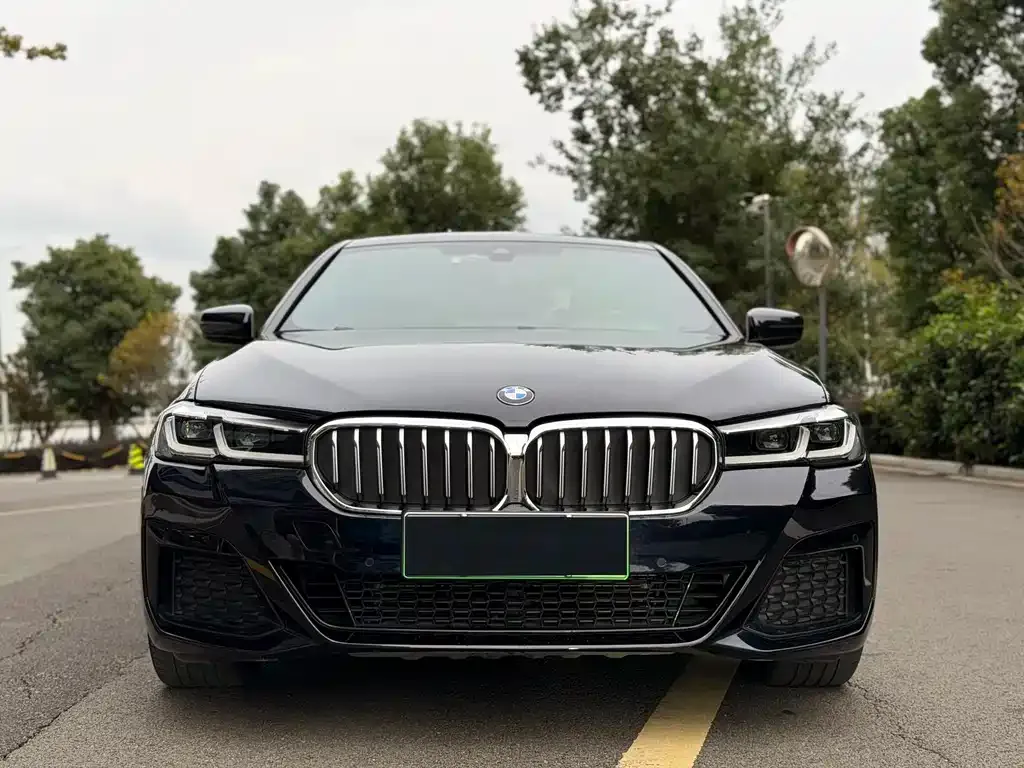 BMW 5 Series New Energy — фото 2