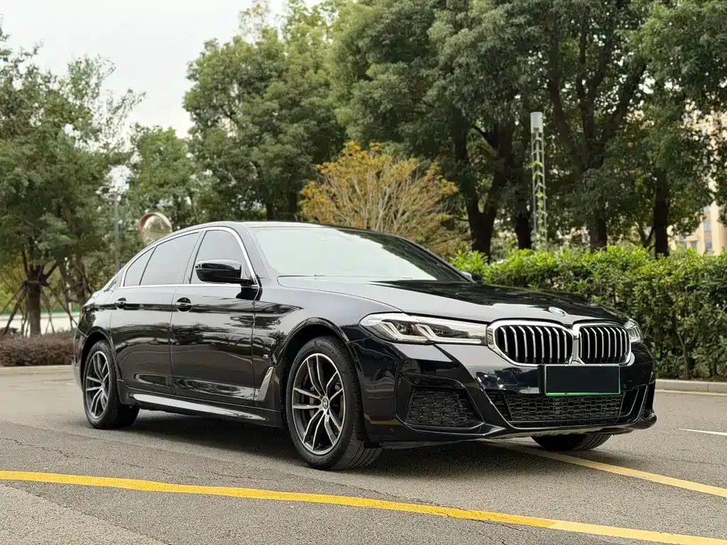 BMW 5 Series New Energy — фото 10