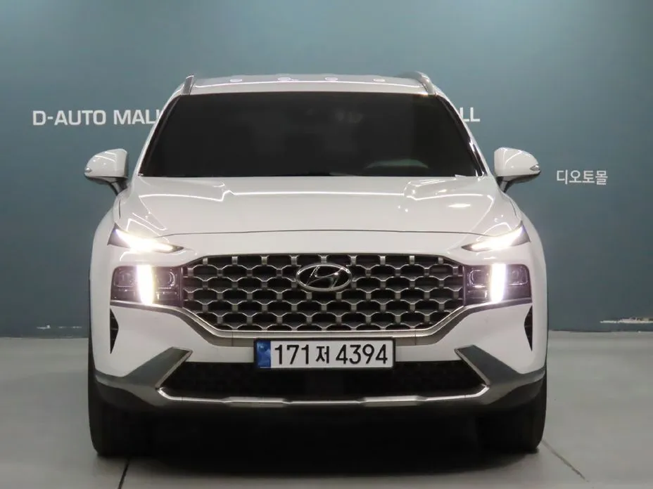 Hyundai Santafe — фото 8