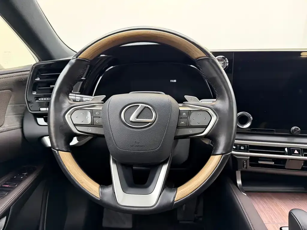 Lexus RX New Energy — фото 10
