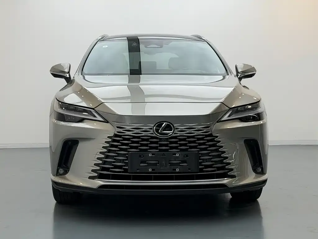 Lexus RX New Energy — фото 4
