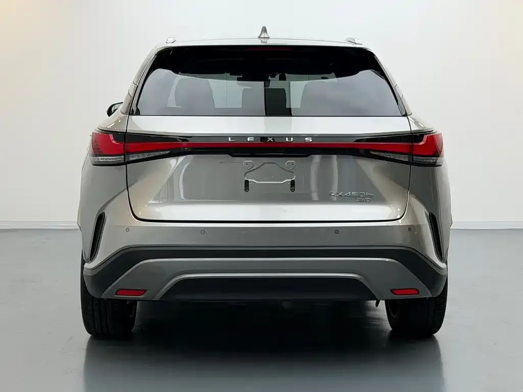 Lexus RX New Energy — фото 8