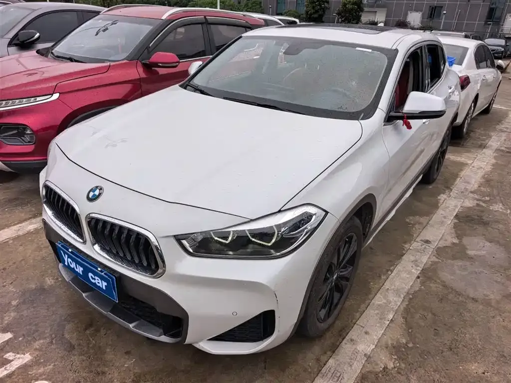 BMW X2 — фото 1