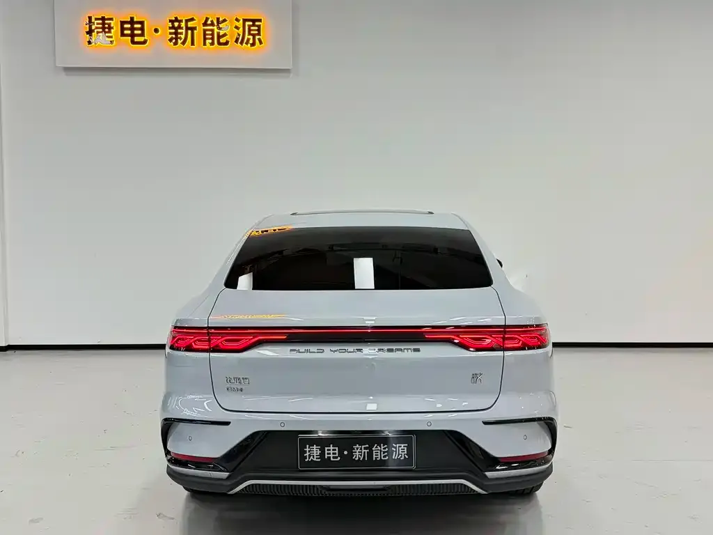 BYD Han — фото 2