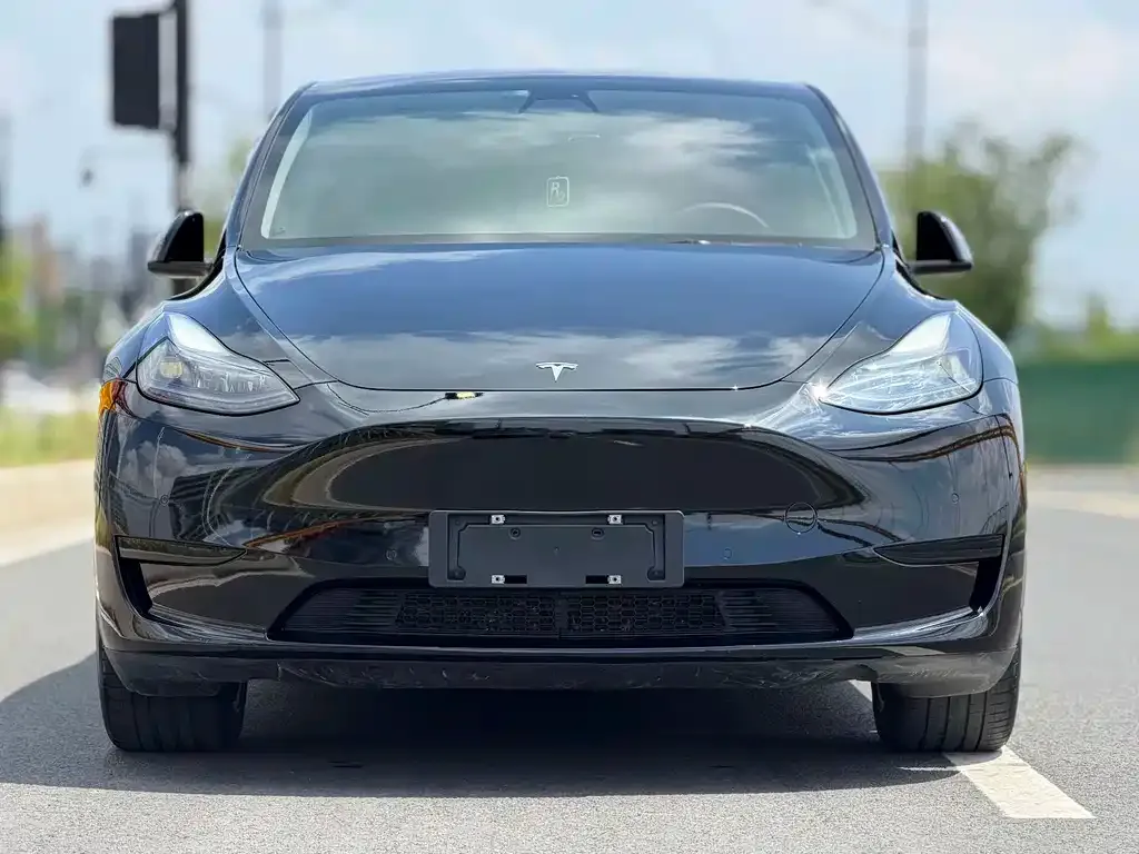Tesla Model Y — фото 7