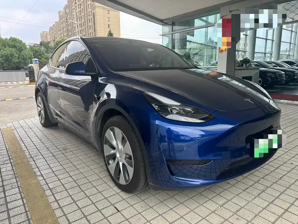Tesla Model Y — фото 10