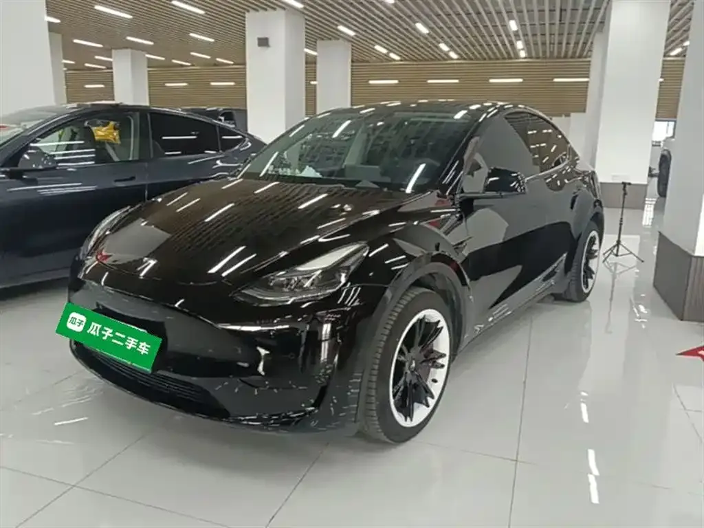 Tesla Model Y — фото 10