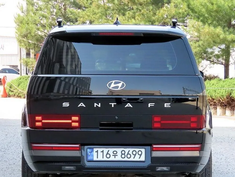 Hyundai Santafe — фото 10
