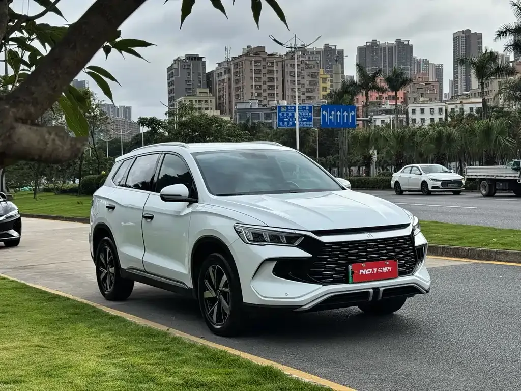 BYD Pro New Energy — фото 6