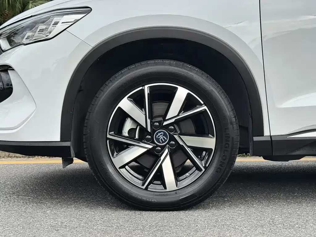 BYD Pro New Energy — фото 9