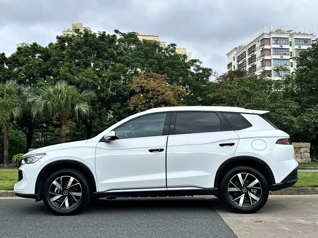 BYD Pro New Energy — фото 10