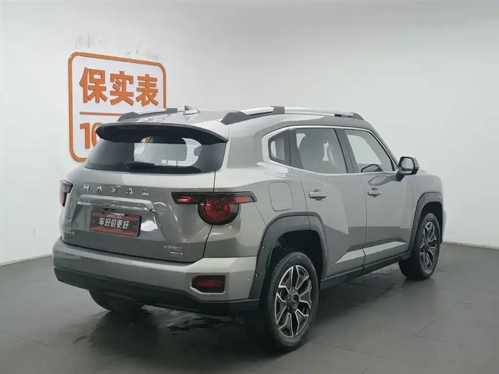 Haval H7 (Big Dog Plus) New Energy — фото 3