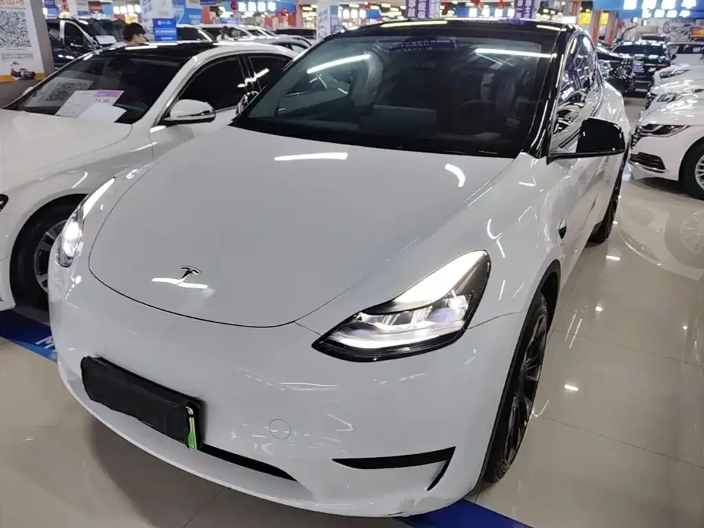 Tesla Model Y — фото 1