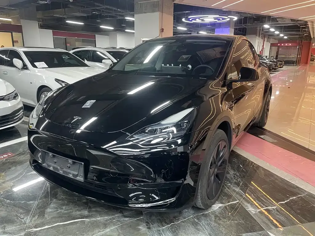 Tesla Model Y — фото 1