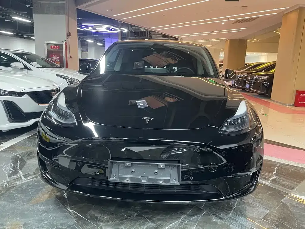 Tesla Model Y — фото 10