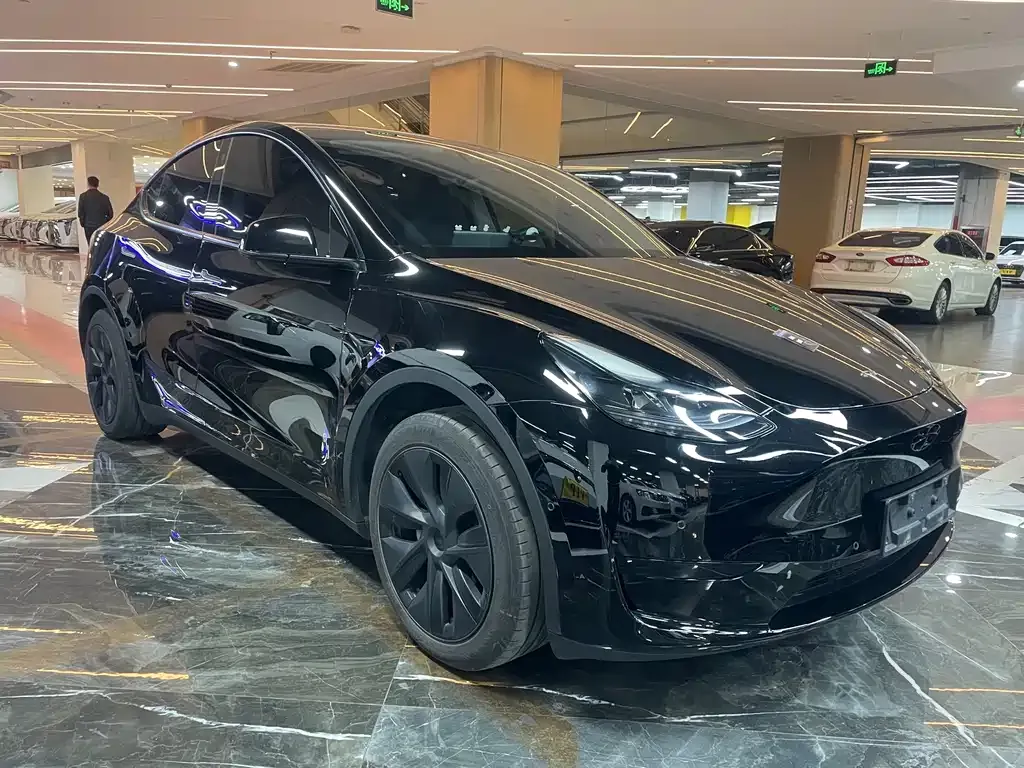 Tesla Model Y — фото 9