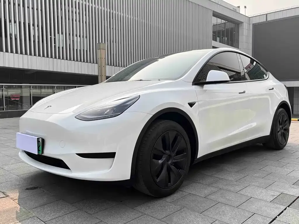 Tesla Model Y — фото 1