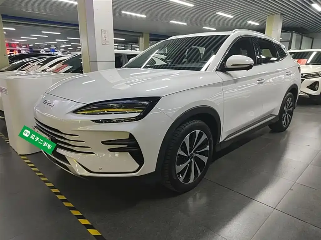 BYD PLUS New Energy — фото 1