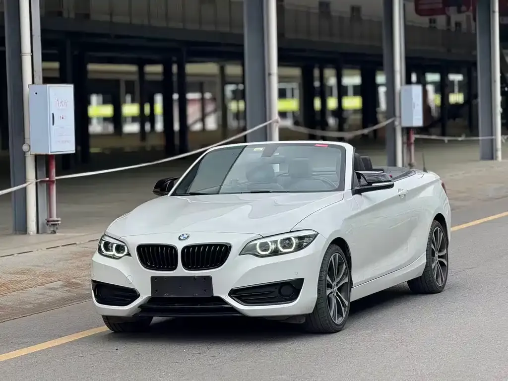 BMW 2 Series (Import) — фото 6