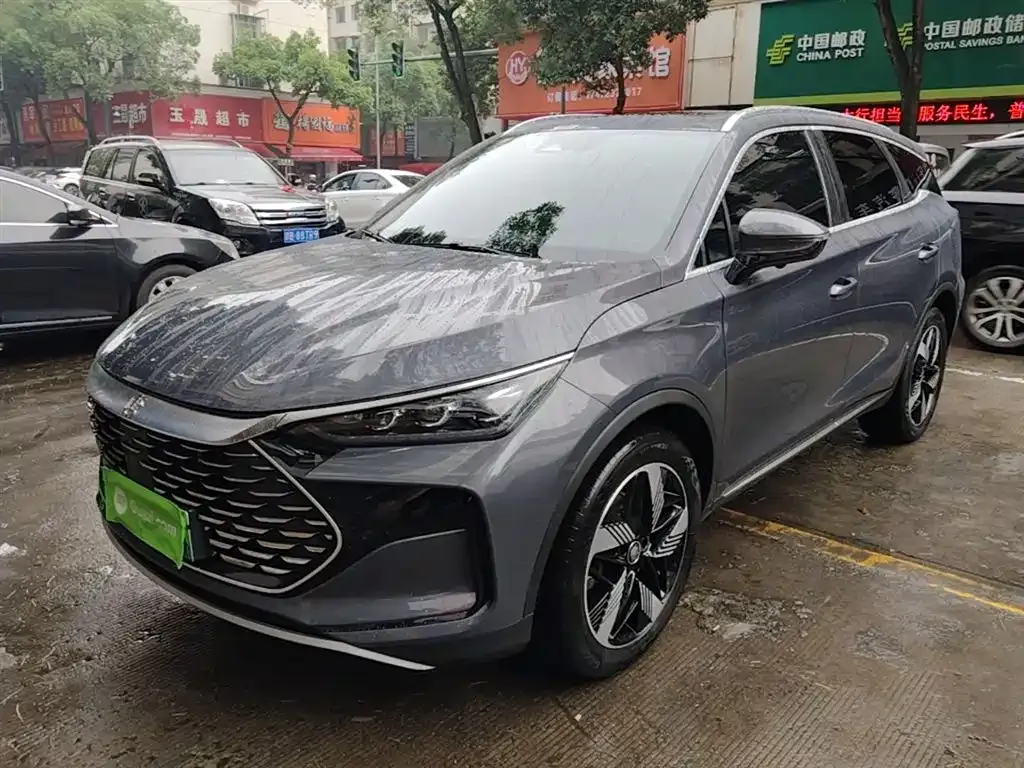 BYD Tang New Energy — фото 6