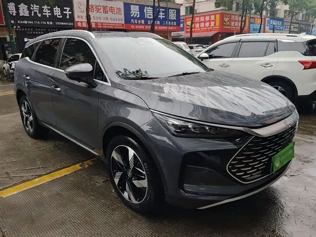 BYD Tang New Energy — фото 5