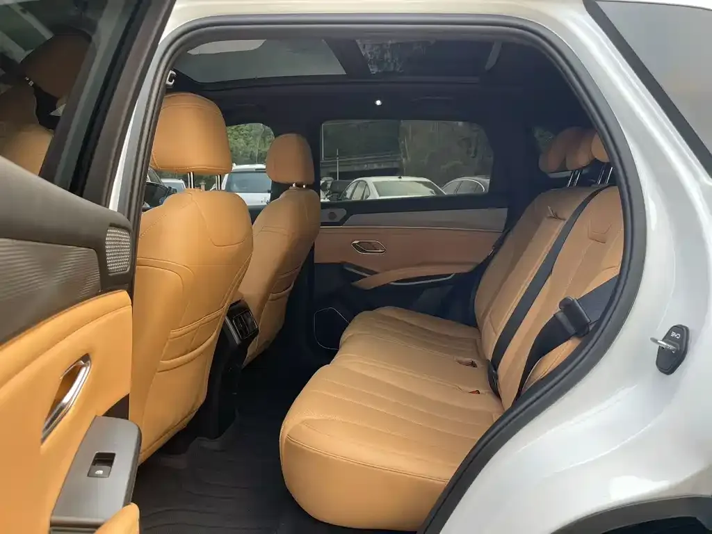 BYD L DM-i — фото 2