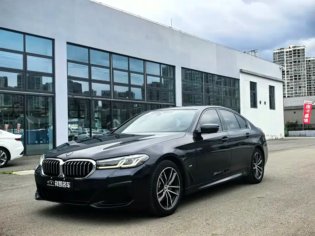 BMW 5 Series (Import) — фото 1