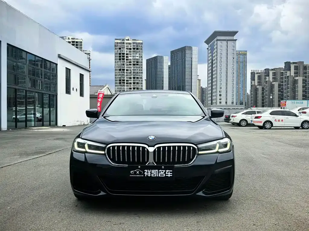 BMW 5 Series (Import) — фото 8