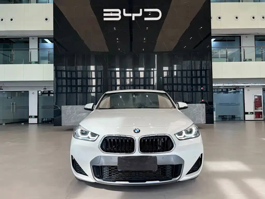 BMW X2 — фото 2