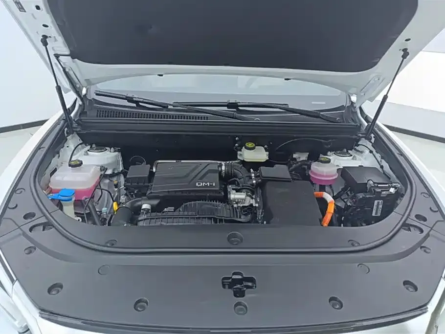 BYD Pro New Energy — фото 10