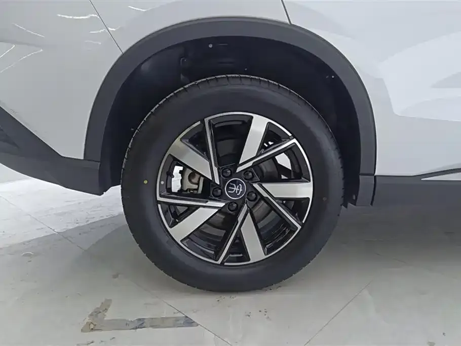 BYD Pro New Energy — фото 2