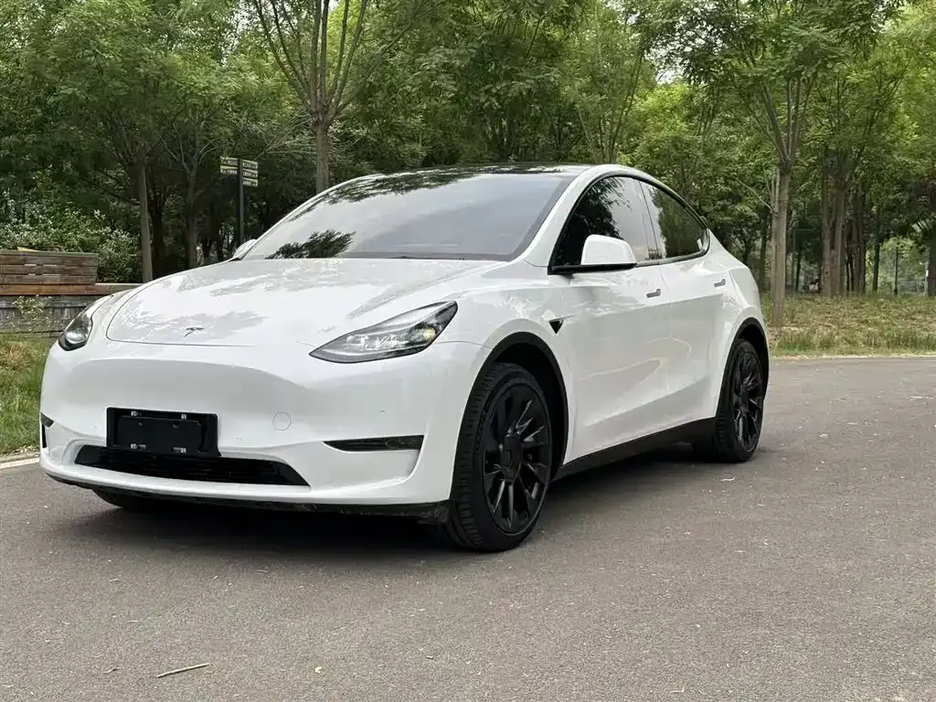 Tesla Model Y — фото 9
