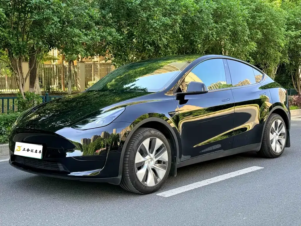 Tesla Model Y — фото 1
