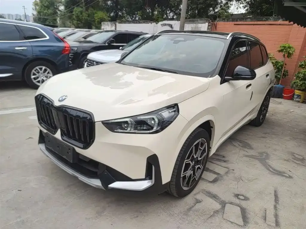 BMW X1 — фото 1