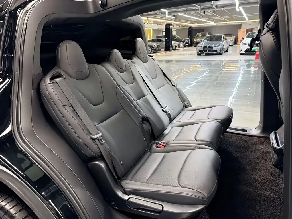 Tesla Model X — фото 7