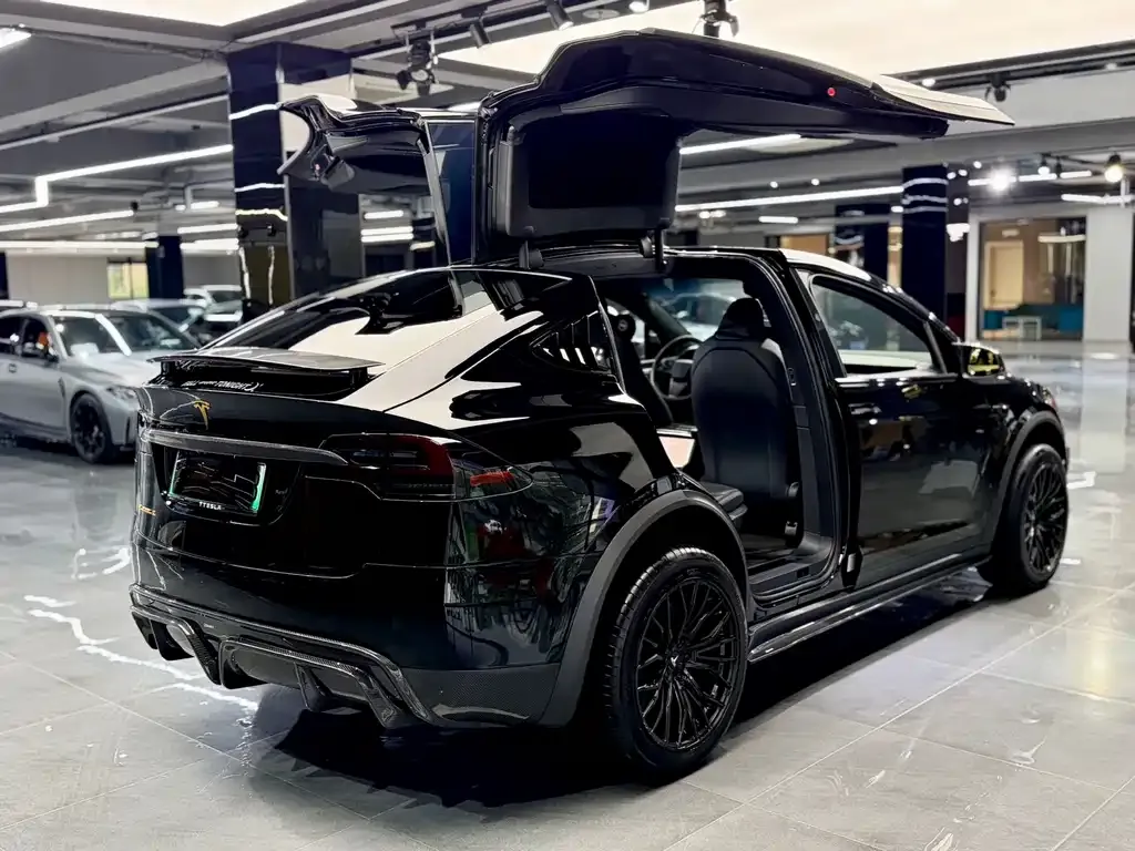 Tesla Model X — фото 3