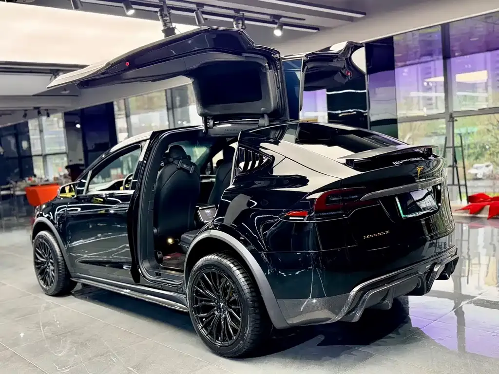 Tesla Model X — фото 6