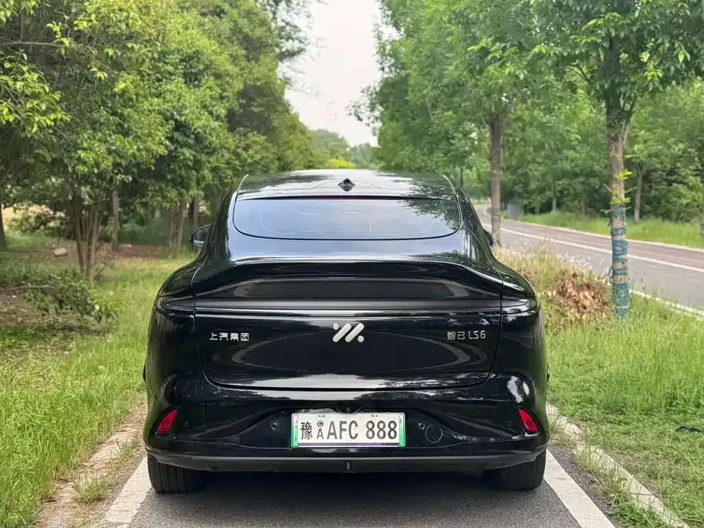 IM LS6 — фото 8