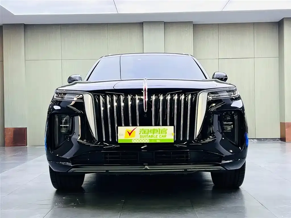 Hongqi E-HS9 — фото 2