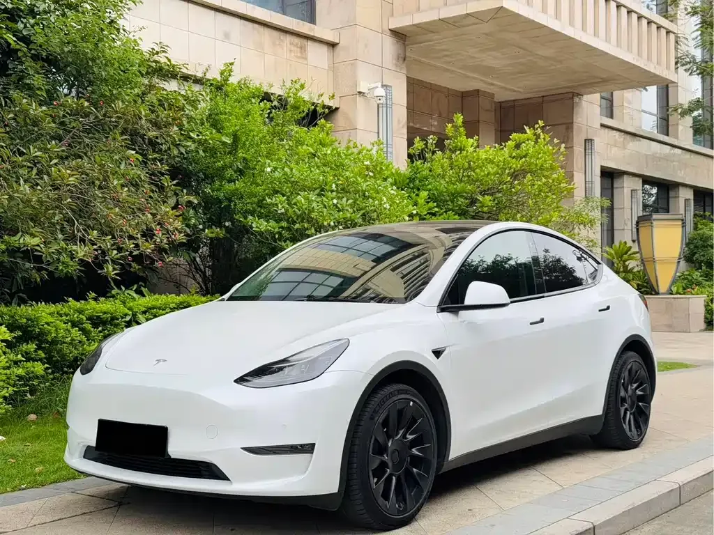 Tesla Model Y — фото 1