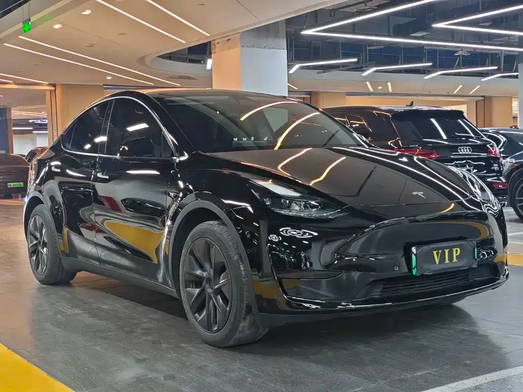Tesla Model Y — фото 8