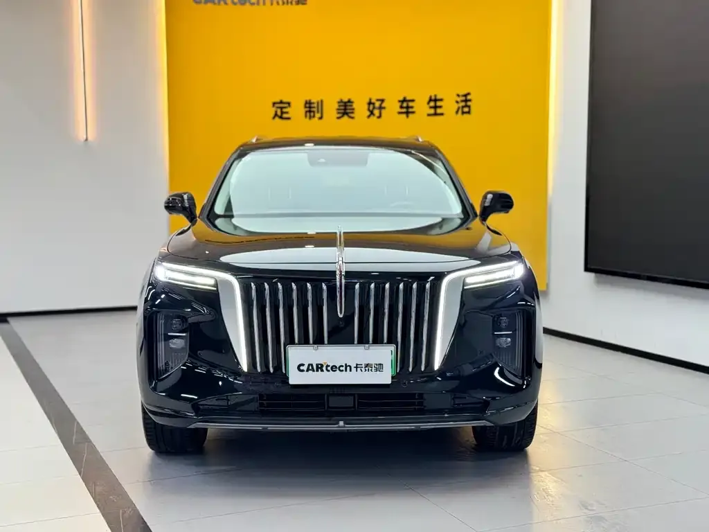 Hongqi E-HS9 — фото 4