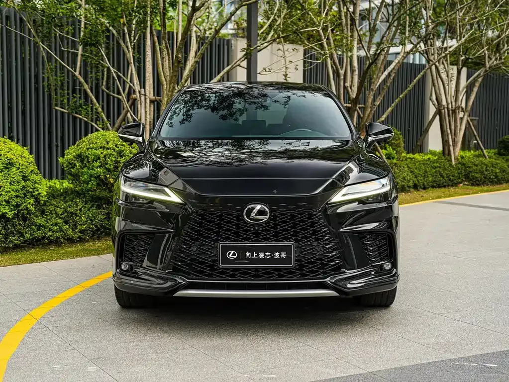 Lexus RX — фото 8