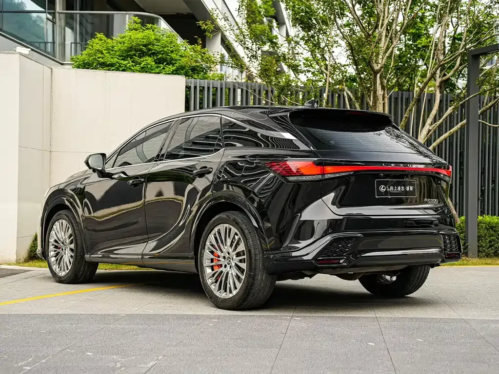 Lexus RX — фото 7