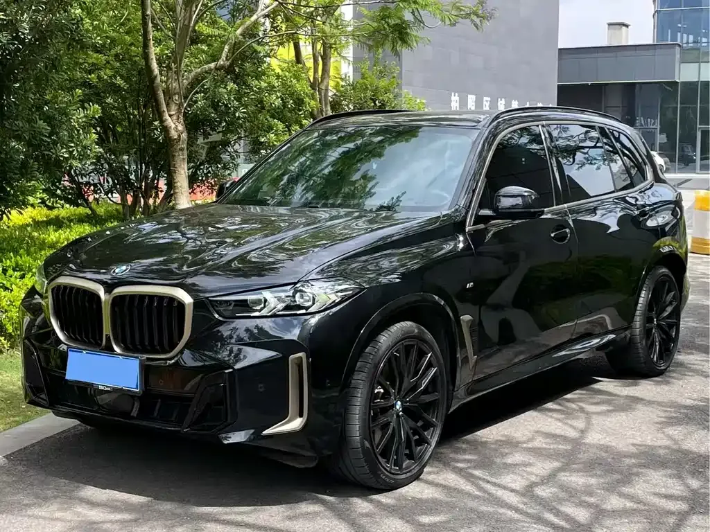 BMW X5 — фото 1