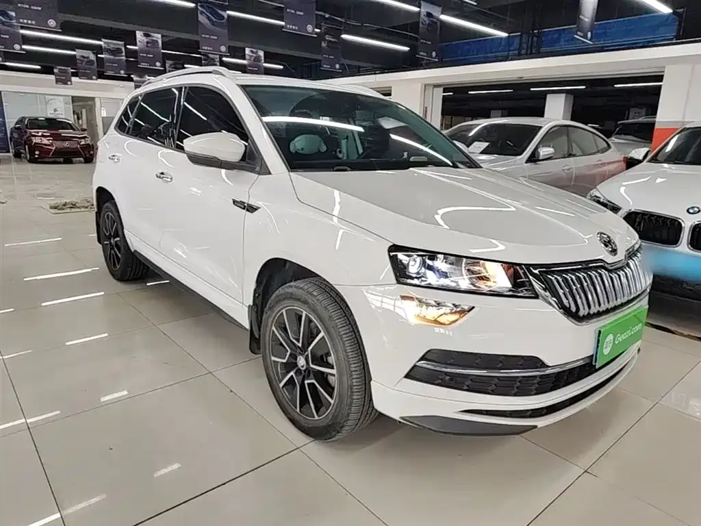 Skoda Karoq — фото 7